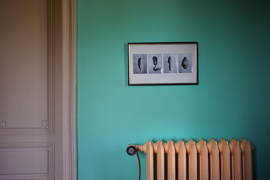 92136594_10156831594211470_2353281683207225344_n